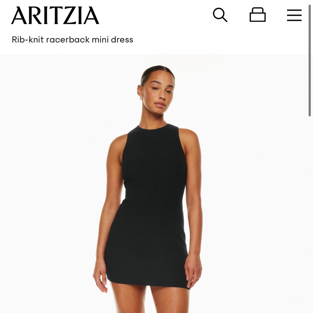 Aritzia dress